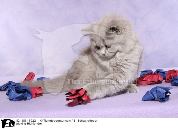 spielende Highlander / playing Highlander / SS-17922