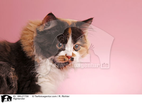 Highlander / RR-27756