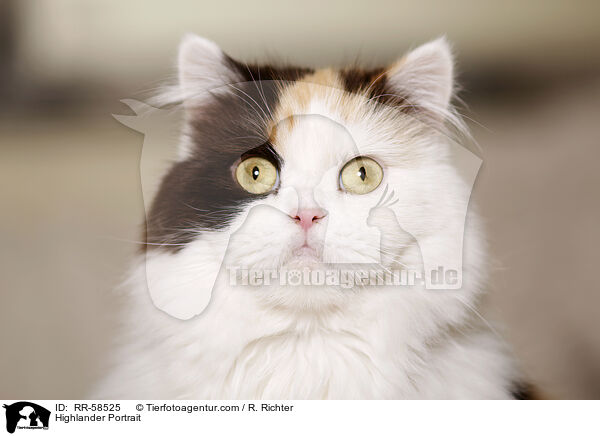 Highlander Portrait / RR-58525