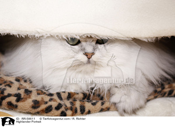 Highlander Portrait / Highlander Portrait / RR-58611