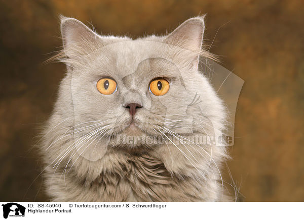 Highlander Portrait / Highlander Portrait / SS-45940