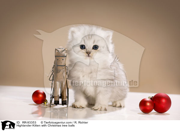 Highlander Ktzchen mit Christbaumkugeln / Highlander Kitten with Christmas tree balls / RR-93353