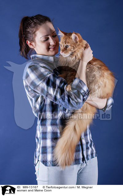 woman and Maine Coon / MW-13167