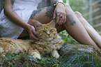 woman with Maine Coon