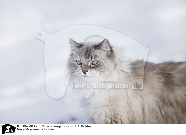 Neva Masquarade Portrait / RR-50842