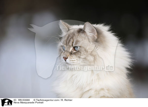 Neva Masquarade Portrait / RR-50886