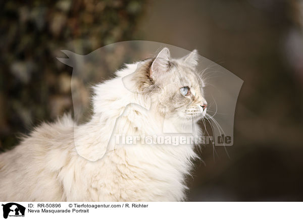 Neva Masquarade Portrait / RR-50896