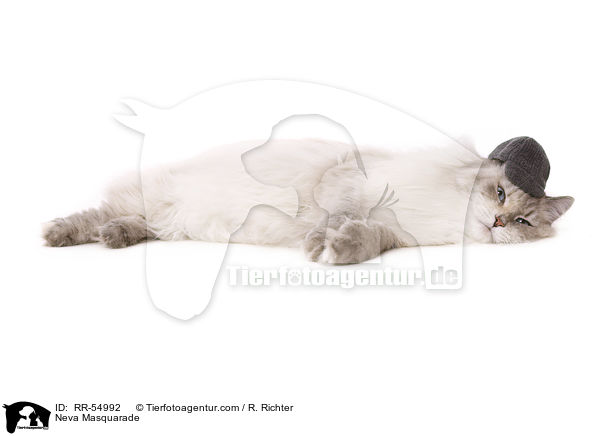 Neva Masquarade / Neva Masquarade / RR-54992