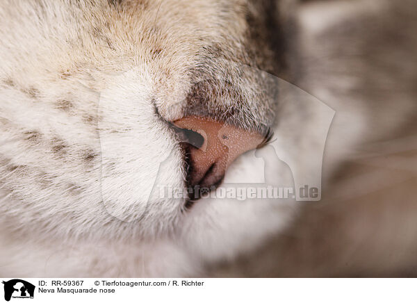 Neva Masquarade Nase / Neva Masquarade nose / RR-59367