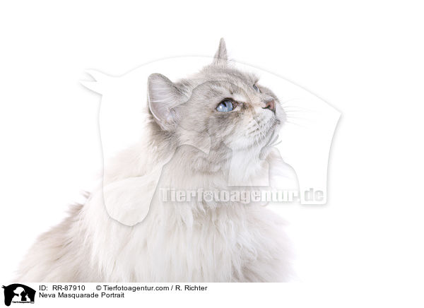 Neva Masquarade Portrait / Neva Masquarade Portrait / RR-87910