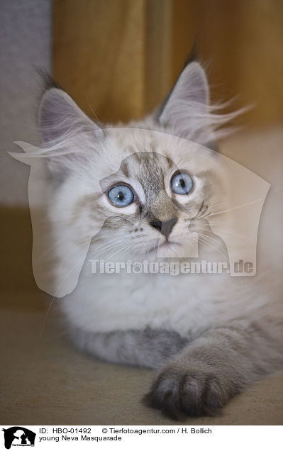 young Neva Masquarade / HBO-01492