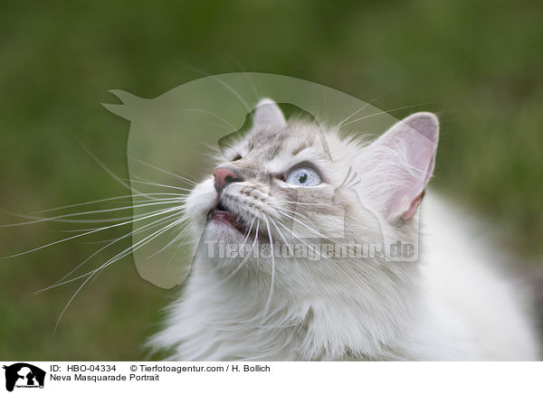 Neva Masquarade Portrait / HBO-04334