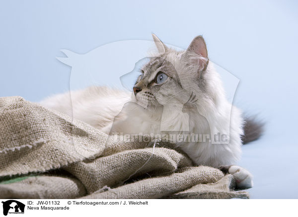 Neva Masquarade / JW-01132