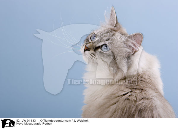 Neva Masquarade Portrait / JW-01133