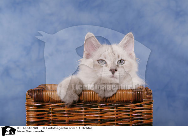 Neva Masquerade / RR-15769