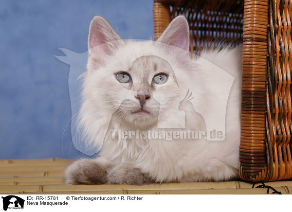 Neva Masquerade / RR-15781