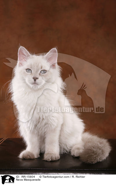 Neva Masquerade / RR-15804