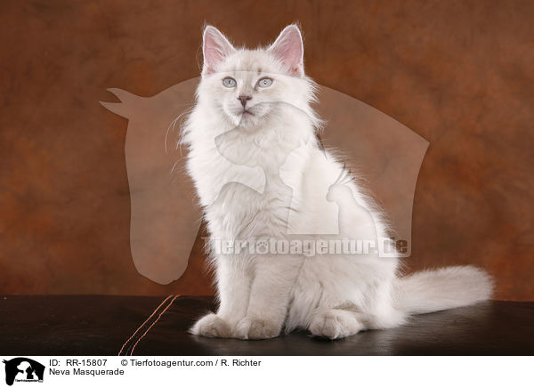Neva Masquerade / RR-15807