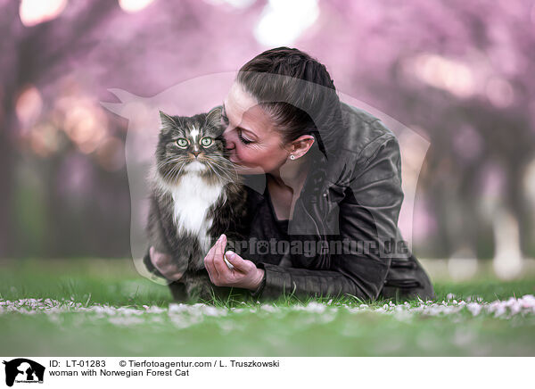 woman with Norwegian Forest Cat / LT-01283