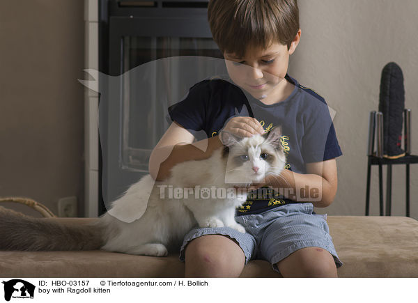 boy with Ragdoll kitten / HBO-03157