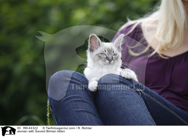 Frau mit Heilige Birma Ktzchen / woman with Sacred Birman kitten / RR-44322