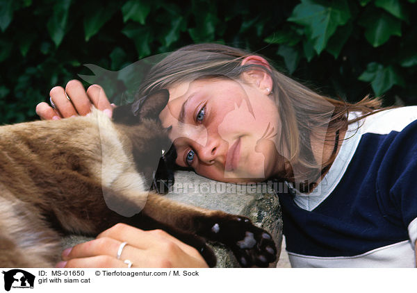 Mdchen mit Siamese / girl with siam cat / MS-01650