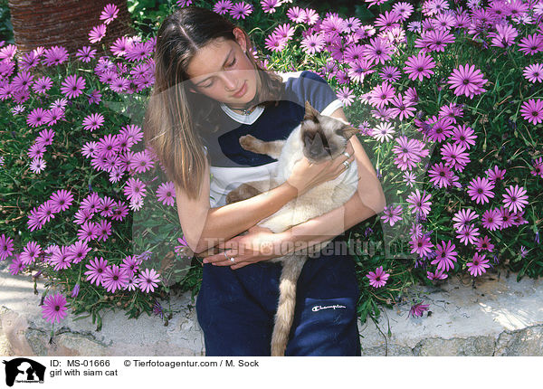 Mdchen mit Siamese / girl with siam cat / MS-01666