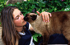 girl with siam cat