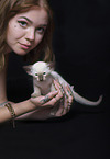 woman and Siamese Cat Kitten
