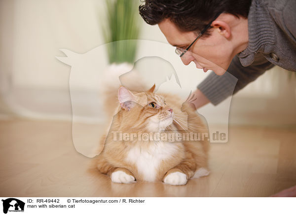 Mann mit Sibirischer Katze / man with siberian cat / RR-49442