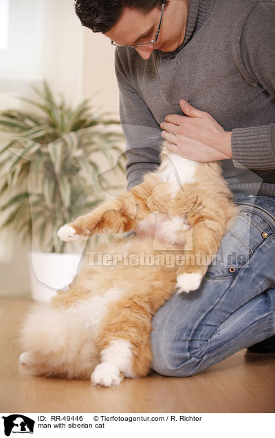 Mann mit Sibirischer Katze / man with siberian cat / RR-49446