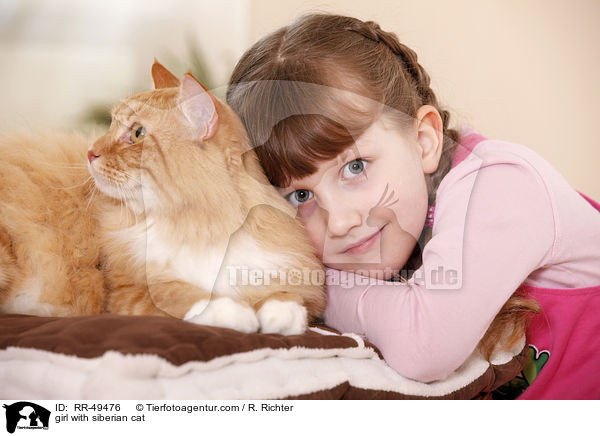girl with siberian cat / RR-49476