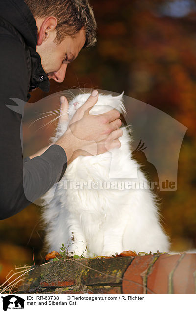 Mann und Sibirische Katze / man and Siberian Cat / RR-63738