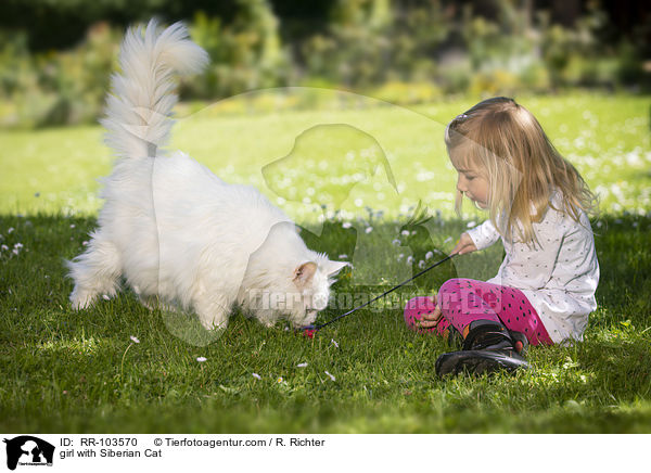 girl with Siberian Cat / RR-103570