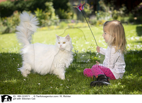 girl with Siberian Cat / RR-103571