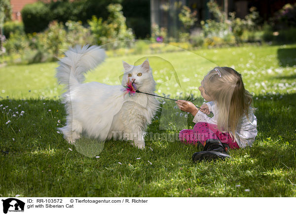 Mdchen mit Sibirische Katze / girl with Siberian Cat / RR-103572