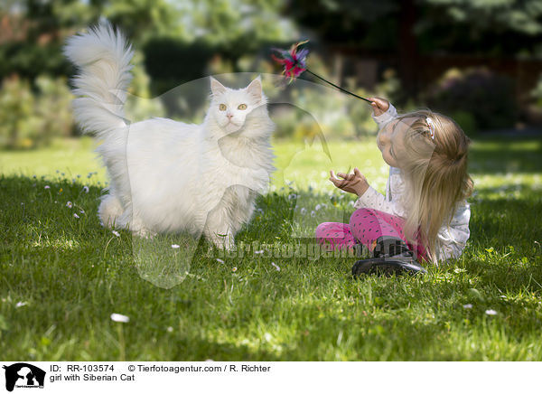 girl with Siberian Cat / RR-103574