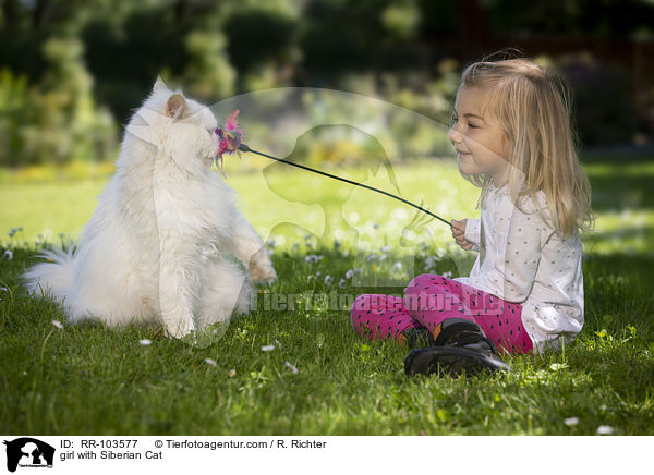 girl with Siberian Cat / RR-103577