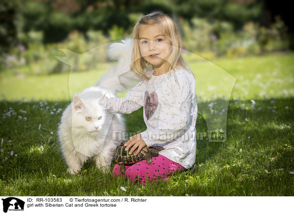 girl with Siberian Cat and Greek tortoise / RR-103583