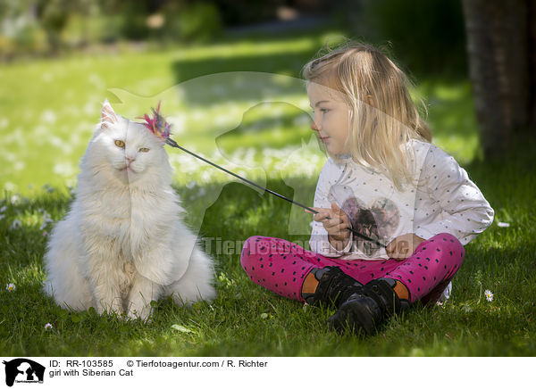 girl with Siberian Cat / RR-103585