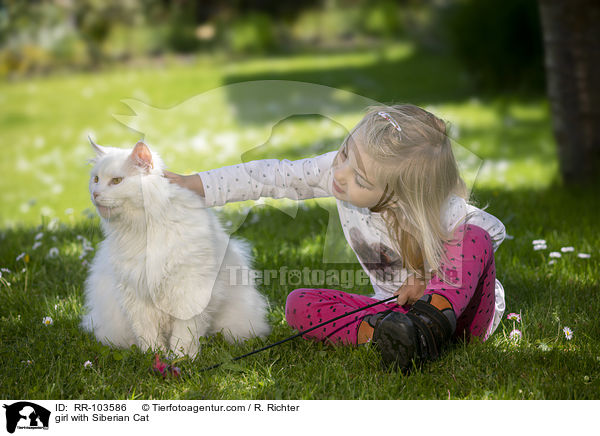 Mdchen mit Sibirische Katze / girl with Siberian Cat / RR-103586