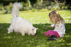 girl with Siberian Cat