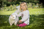 girl with Siberian Cat and Greek tortoise