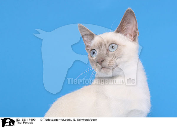 Thai Portrait / SS-17490