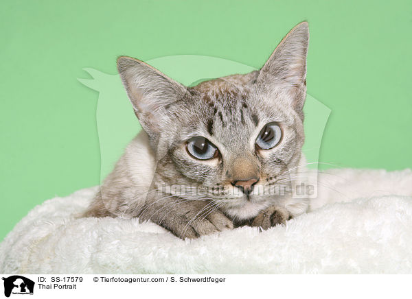 Thai Portrait / SS-17579