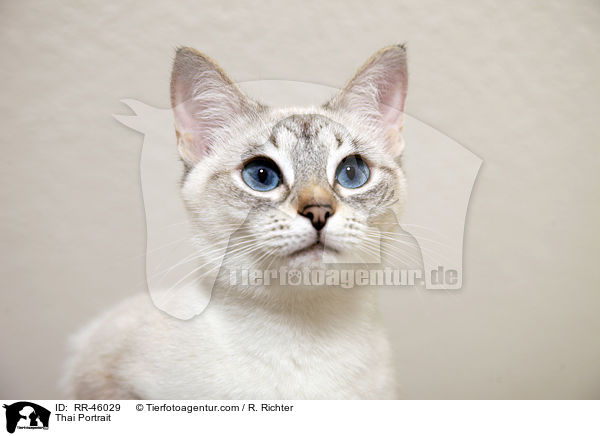 Thai Portrait / Thai Portrait / RR-46029