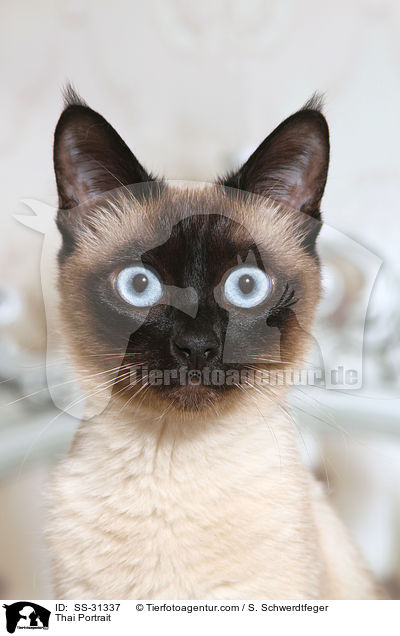 Thai Portrait / Thai Portrait / SS-31337