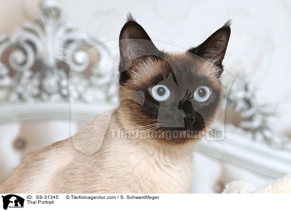 Thai Portrait / Thai Portrait / SS-31345