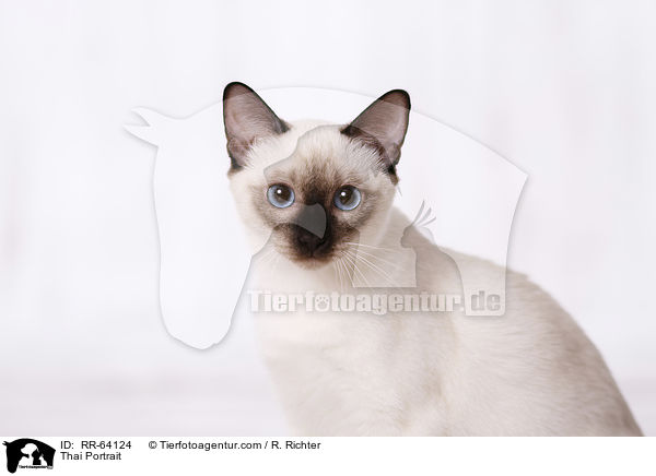 Thai Portrait / Thai Portrait / RR-64124