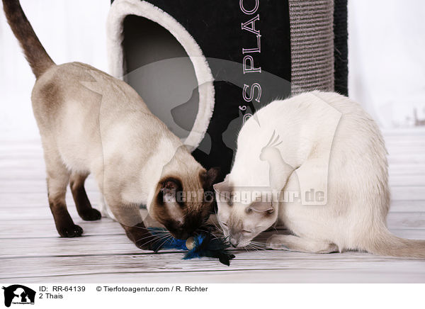 2 Thais / RR-64139